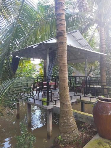 Vinh Long House | Homestay Vườn Dừa