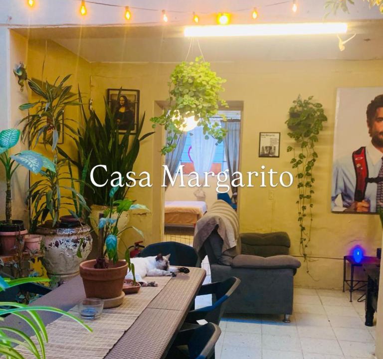 Downtown Guadalajara House | Hostal Casa Margarito