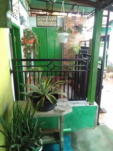 Tulungagung Hotel | Hotel O Wisma Kost & Penginapan Afilia Buana Syariah