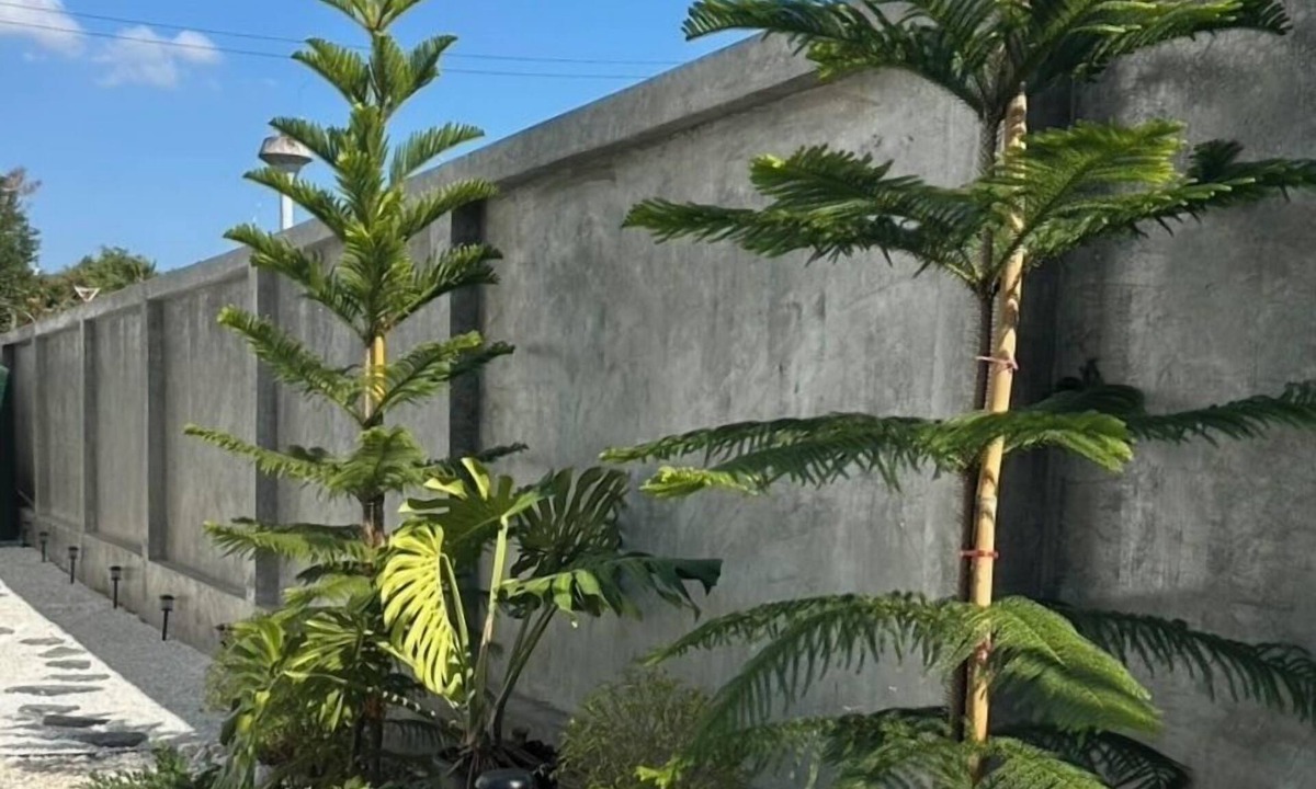 Wat Ket House | HOUSE NO.89