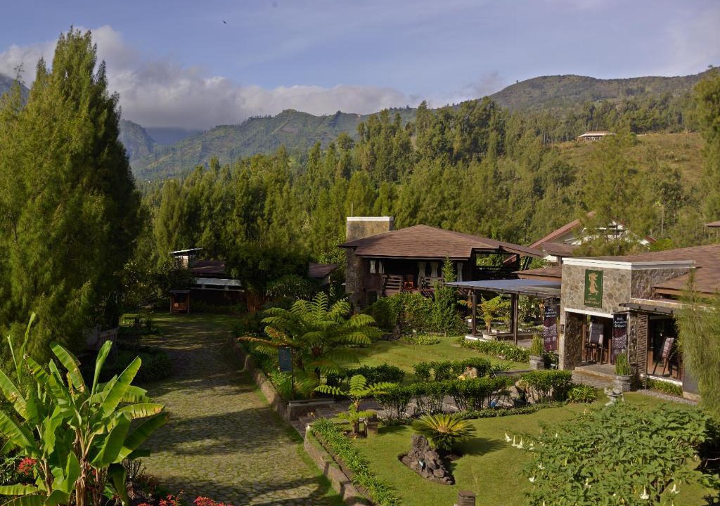 Ngadisari Resort | Jiwa Jawa Resort Bromo
