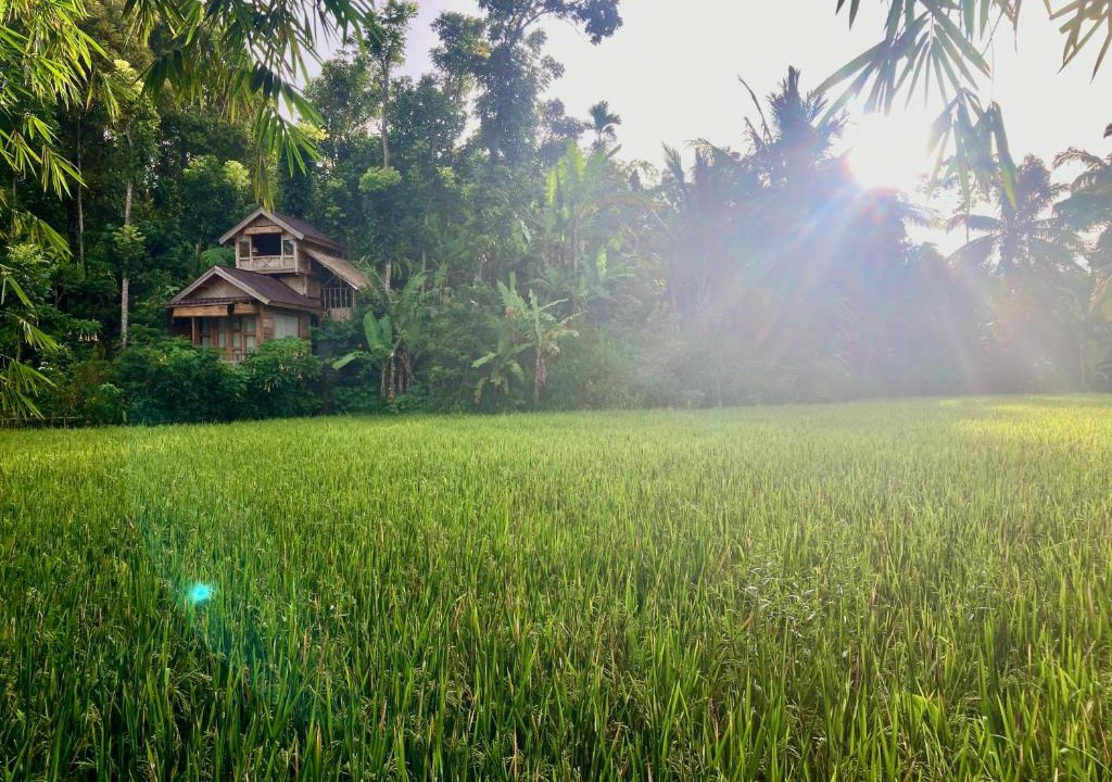 Tetebatu House | Jungle inn tetebatu