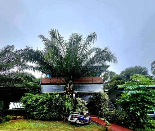 Ko Chang Apartment | Kai Bae Loft