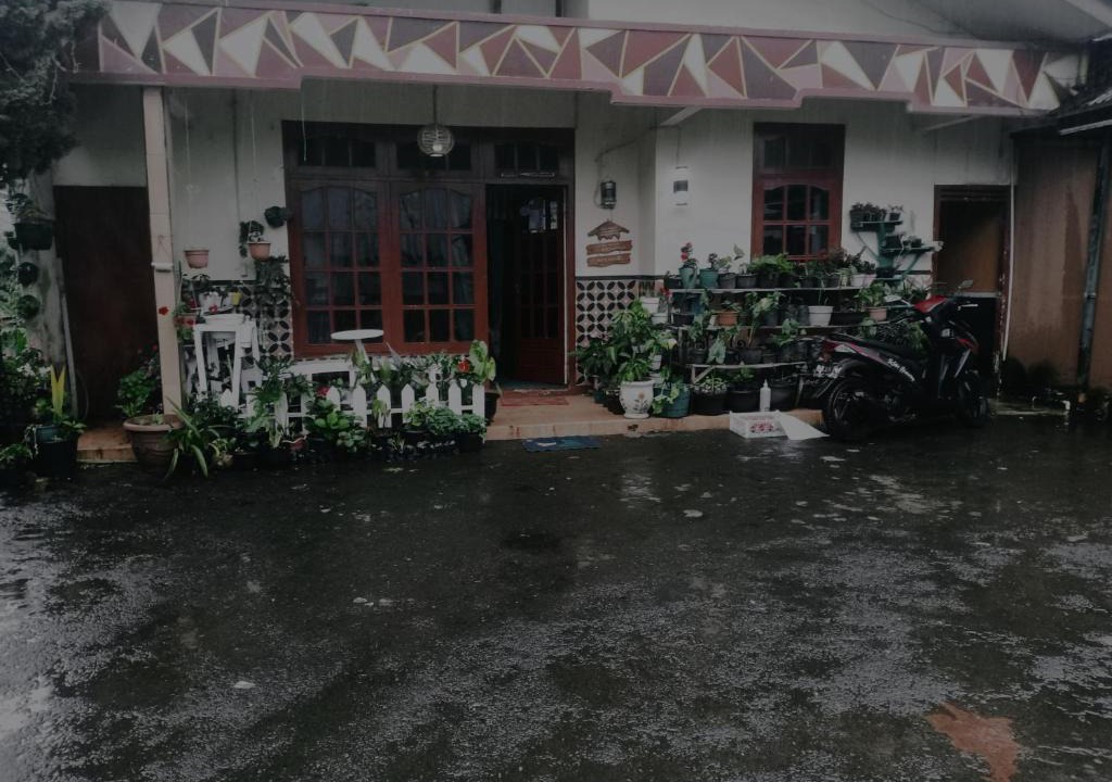 Dieng Kulon House | Kenanga Dieng full house