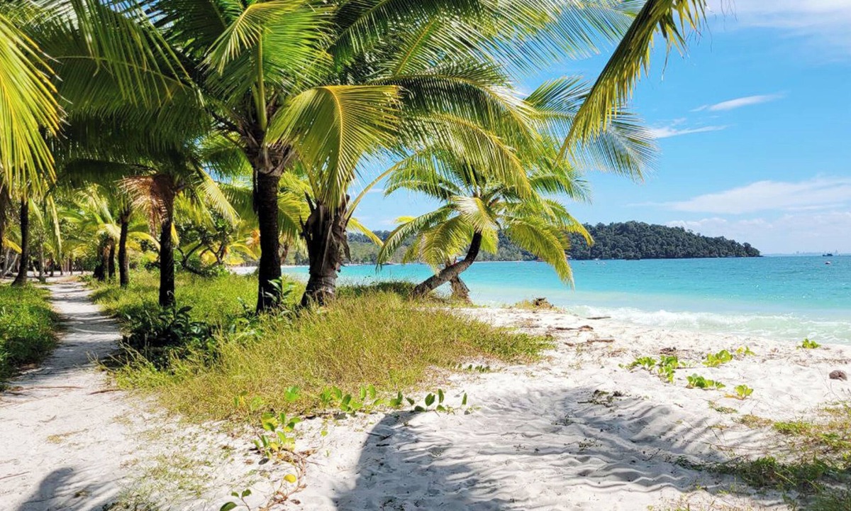 Koh Rong Bed & Breakfast | Koh Rong Lagoon Bar And Restaurant