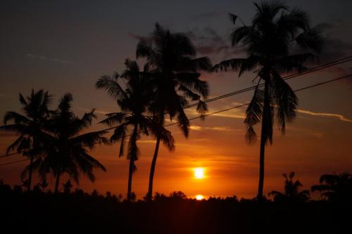 Sukasada Resort | Lafyu Bali
