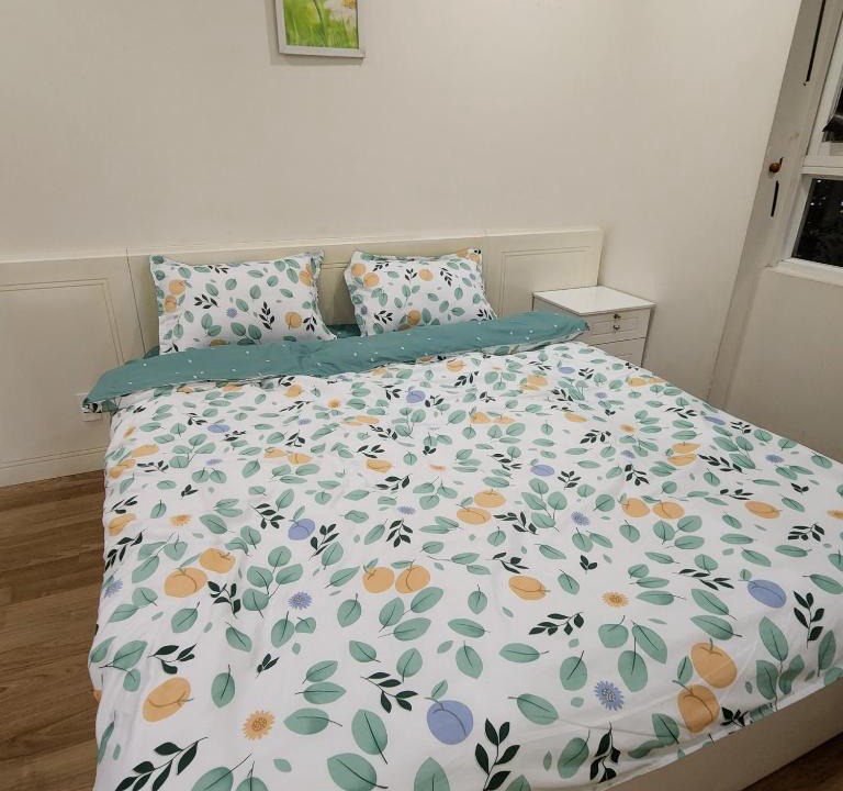 District 4 House | Laila's Homestay
