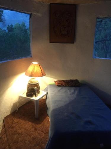 Arteaga House | Lions King cabin woods