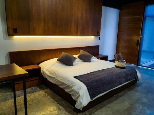 San Luis Potosi Apartment | Loft Bronce en excelente ubicación!