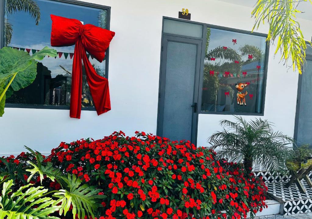 Lam Ha Bed & Breakfast | Mai Anh Đào Hotel