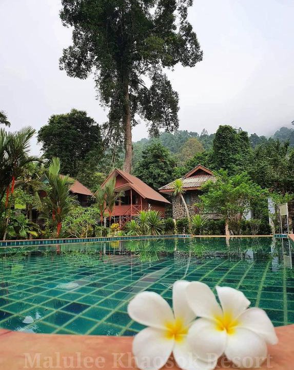 Khlong Sok Resort | Malulee KhaoSok Resort
