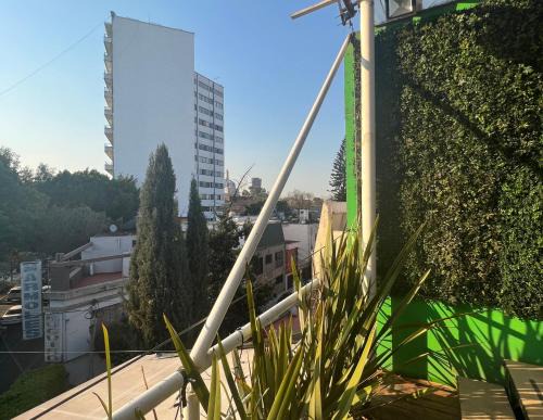 Narvarte Poniente House | Mexico City Guesthouse
