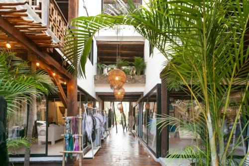 Zona Hotelera Hotel | Mohave Jungle Rooms