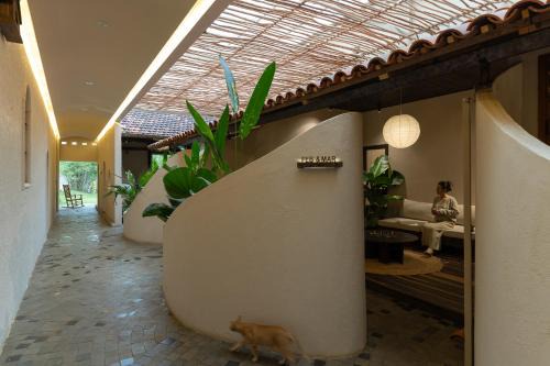 Pleiku Hotel | MOONLIGHT Homestay & Hotel