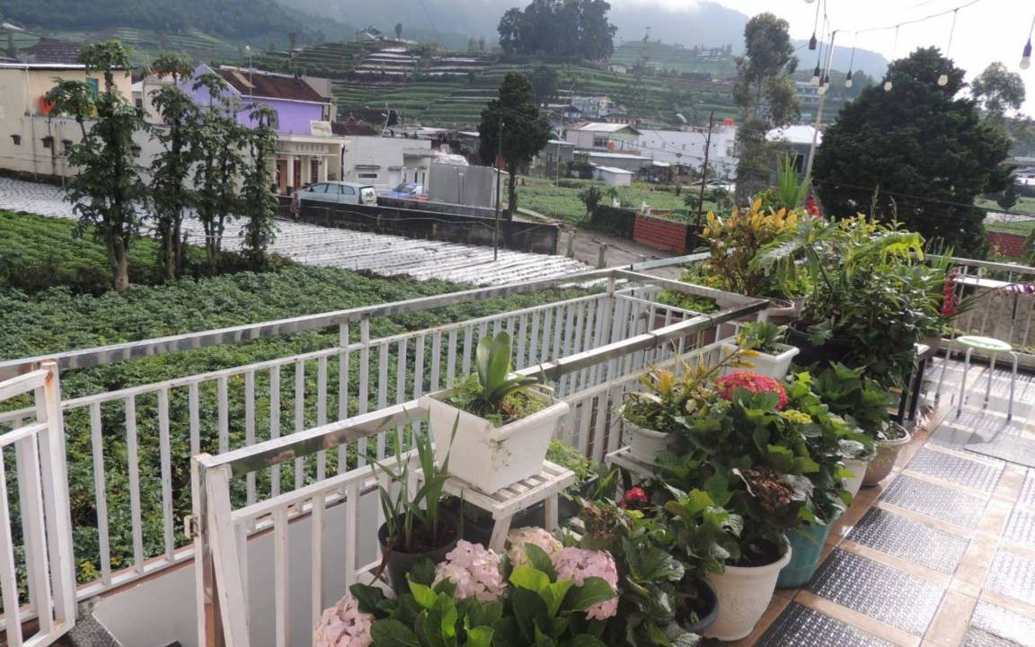 Dieng Kulon House | Motel ∙ 8 guests