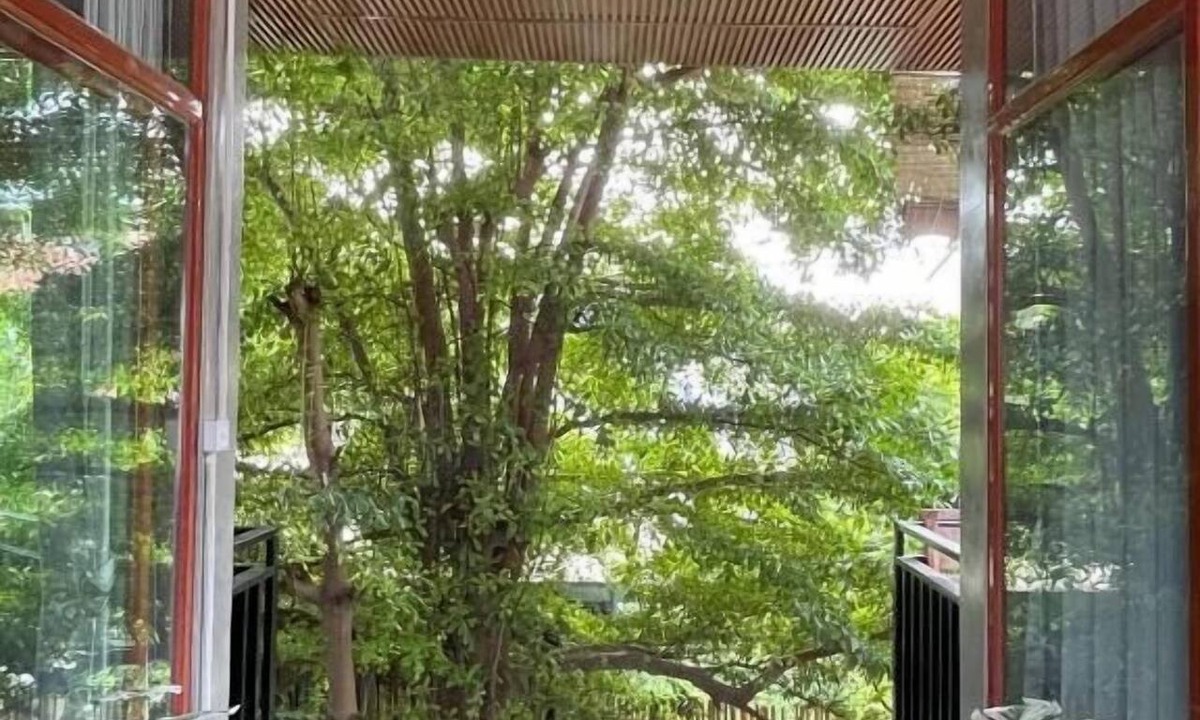 Svay Pao House | Mother's House