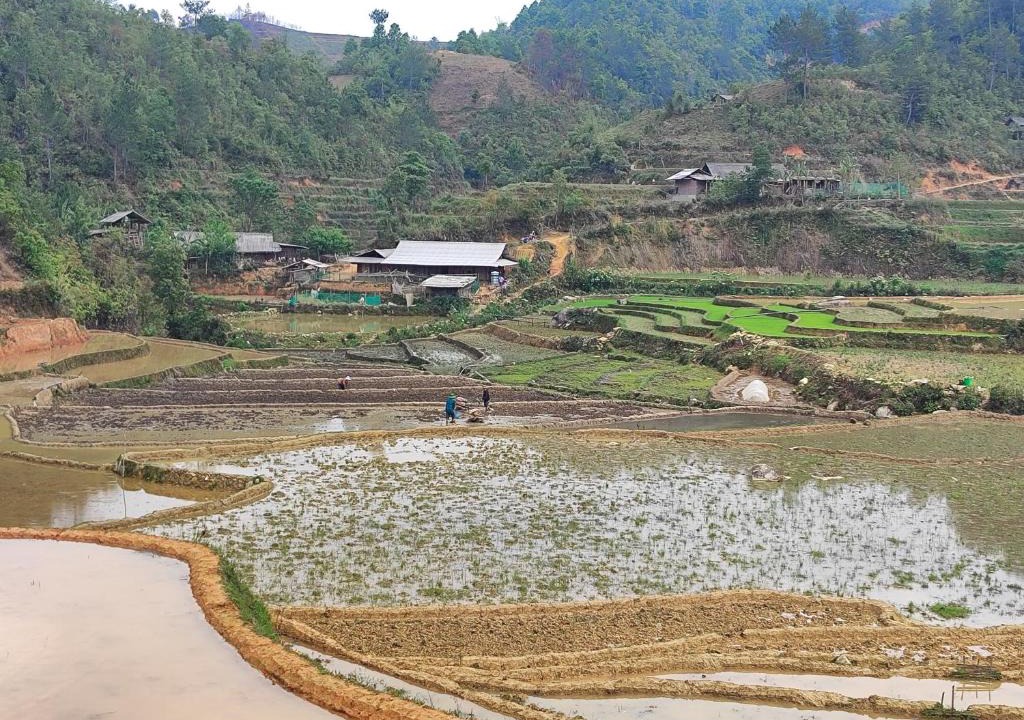 Mu Cang Chai House | Mu Cang Chai Terrace View Bungalows