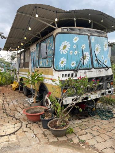 Lam Ha House | NamBanhomestay&cafe Linh Ẩn Tự