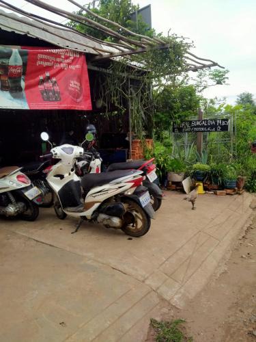 Kampong Cham Bed & Breakfast | Natural Bungalow