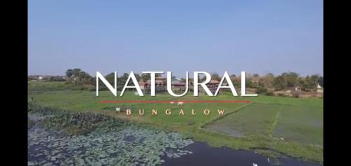 Kampong Cham House | Natural bungalows