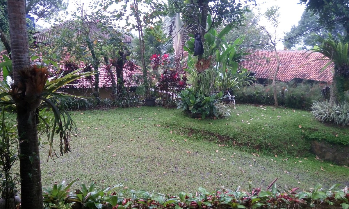 Bogor House | natural resort near bogor up to 150paxs