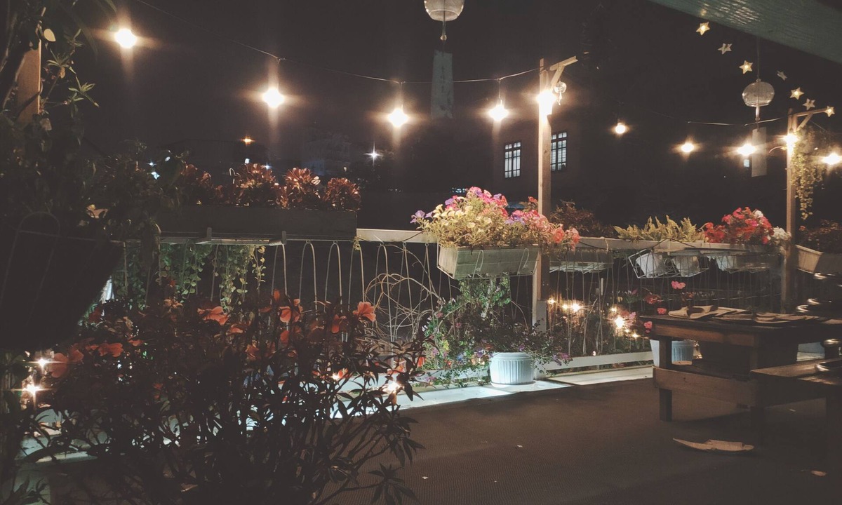 Phuong House | Ngôi nhà cuối hẻm yên tĩnh với tiếng chim hót, có ban công chill thật tuyệt vời