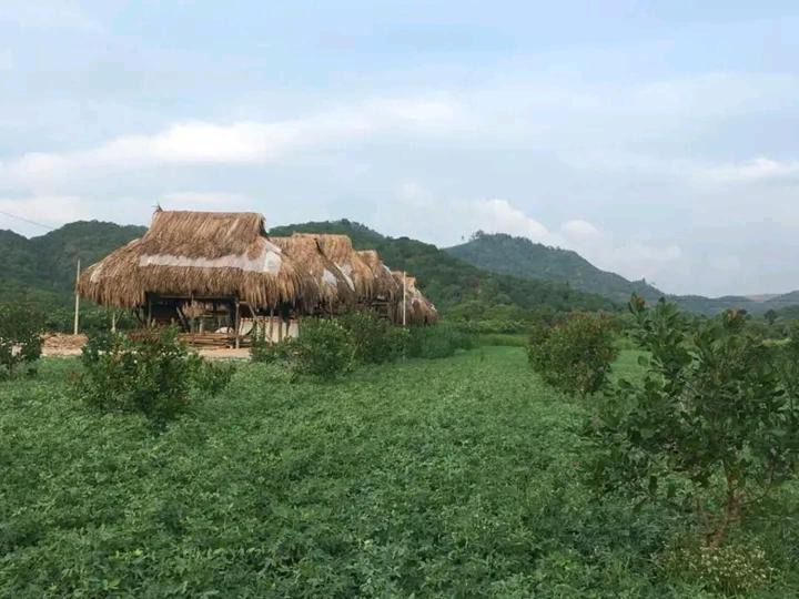 Nam Cat Tien Bed & Breakfast | Nhà Nghỉ Ven Sông Nam Cát Tiên