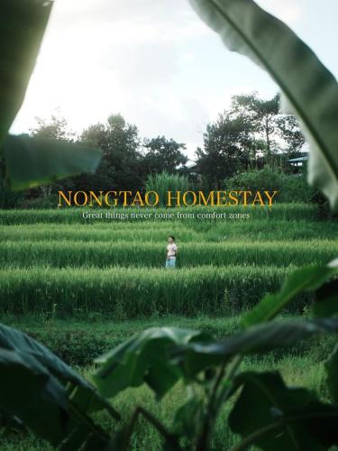 Mae Wang House | Nongtao Homestay