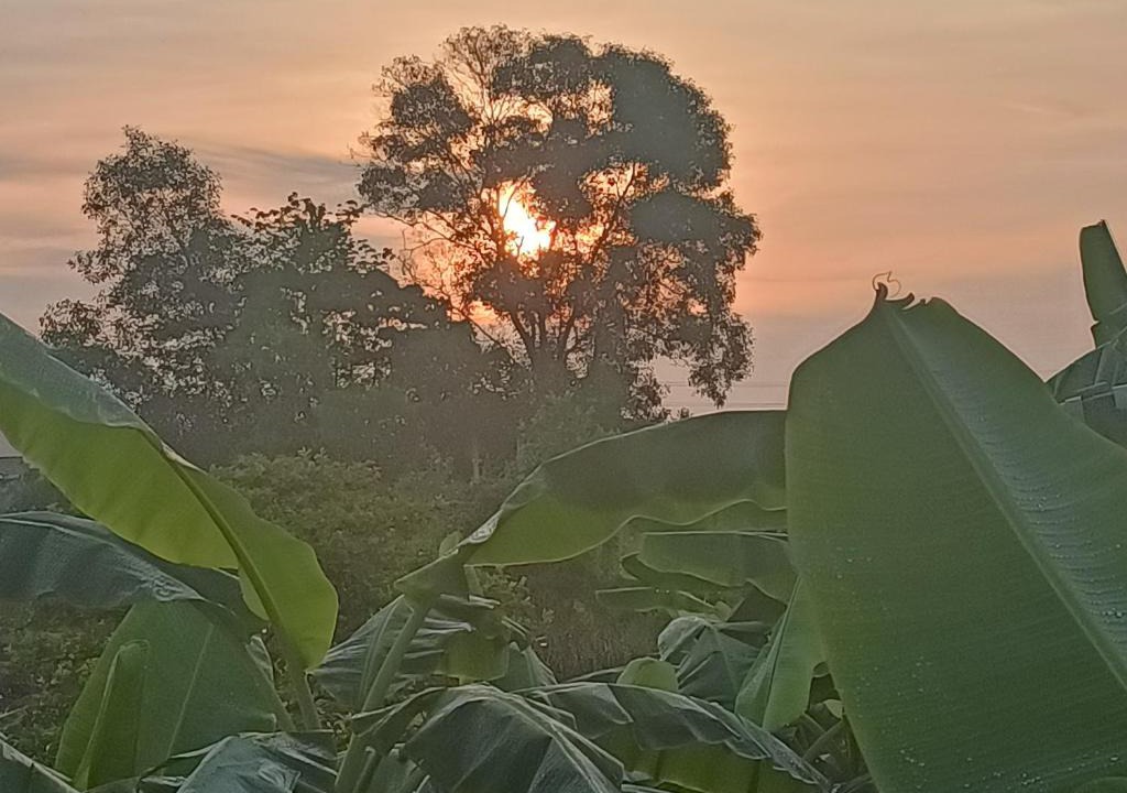 Guar Chempedak House | Nur Kasih Homestay 1-Gunung Jerai