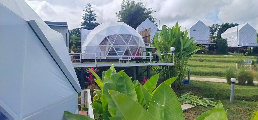 Khao Kho Other | O2 Zone Camping เขาค้อ