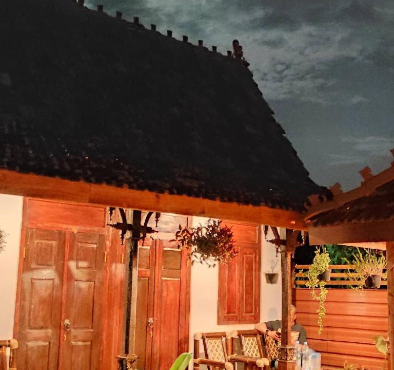 Mlati House | Omah Kampong
