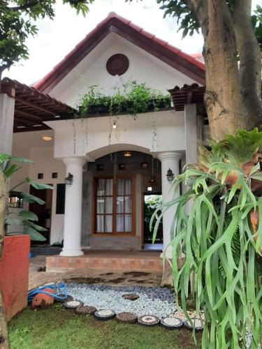 Dinoyo Villa | OMAH LUMUT Malang, Best Family Villa 3 Bedrooms Free Pool Kolam Renang