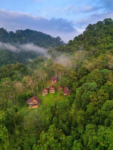 Bukit Lawang Cabin | ORANGUTANTREKSUMATRA & LOVELY JUNGLE LODGE only book IF you are treking with us