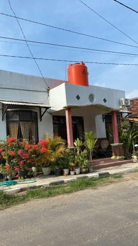 Karimunjava Hostel | OWL HOSTEL Karimunjawa
