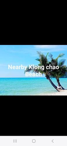 Ko Kood Ski Chalet | Pink Kangaroo Bungalows