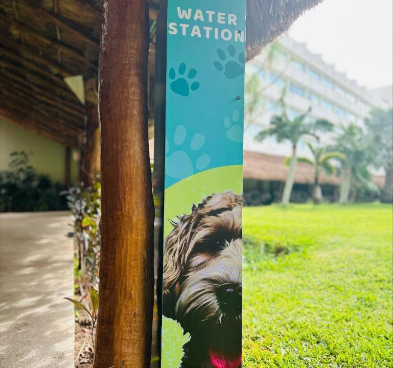 Punta Cancun Resort | Presidente InterContinental Cancun Resort by IHG