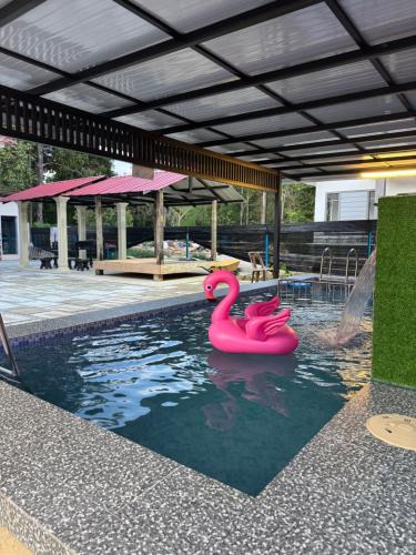 Kota Bharu House | Private Pool Homestay Kota Bharu 3 Bilik Tidur Muat 12 Tetamu