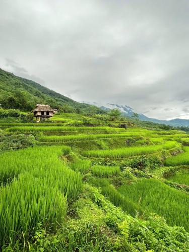 Pu Long Nature Reserve Hotel | Puluong Qui E Ora