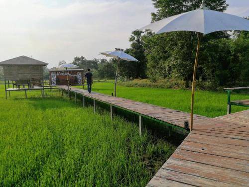 Nong Mamong Resort | Resort ∙ 2 guests