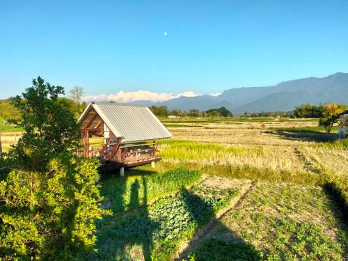 Tha Wang Pha House | Ricefield Homestay มองนาภูคาน่านโฮมสเตย์