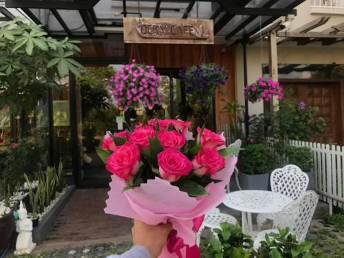 Siem Reap Hotel | Rocky Cafe & Mini Apartment