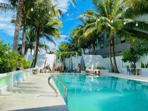 Con Son Hotel | SaoConDor Hotel