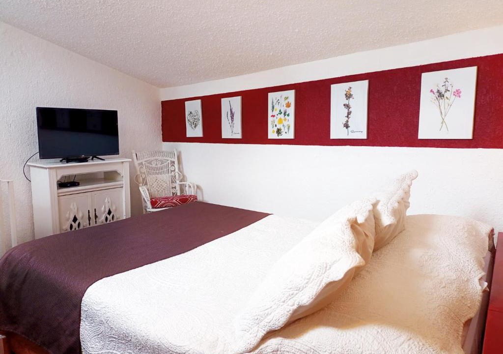 Campestre Apartment | Suite 3C, Jacaranda, Garden House, Wewlcome to San Angel