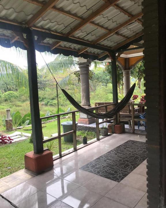Bohorok House | Sumatra Cheeky Monkeys