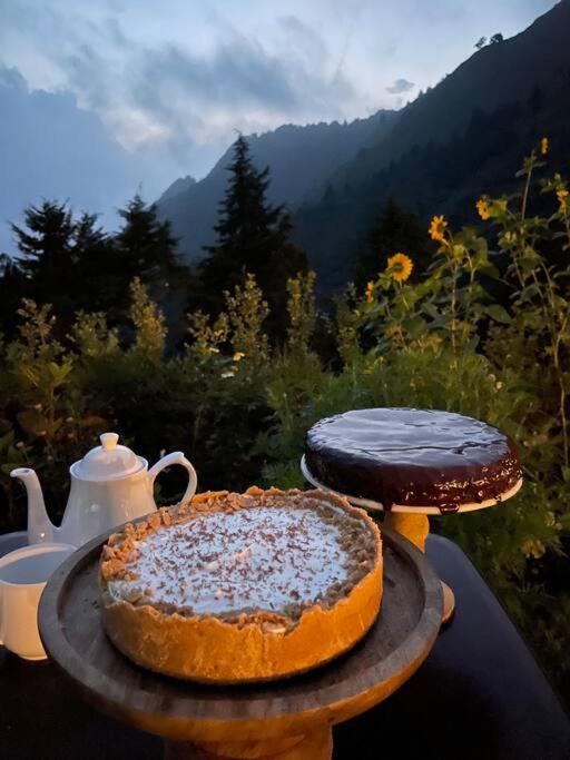 Bullawala House | Sundays Forever - Oak House, Mussoorie