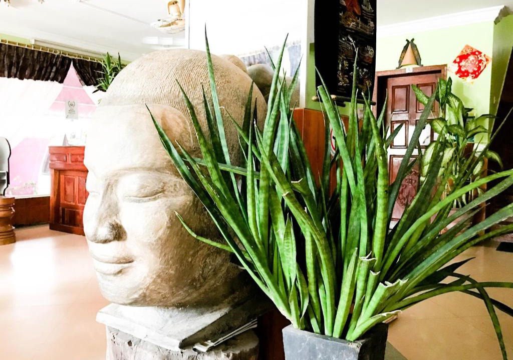 Taphul Village Area House | Ta Som Guesthouse & Tour Services
