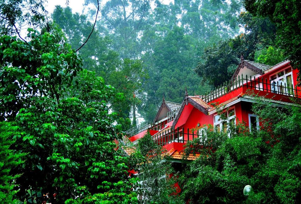 Pallivasal Resort | Tea Valley Resort, Munnar