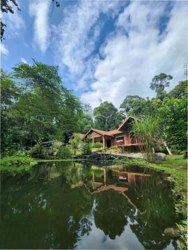 Kuala Kangsar Ski Chalet | Teratak Jannah Homestay & Resort