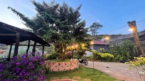 Lam Ha Apartment | Thảo nguyên Farm &healing