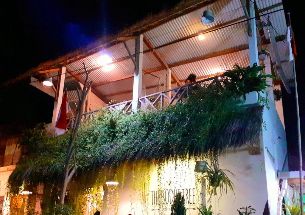 Karimunjava Hostel | The Bodhi Tree Karimunjawa